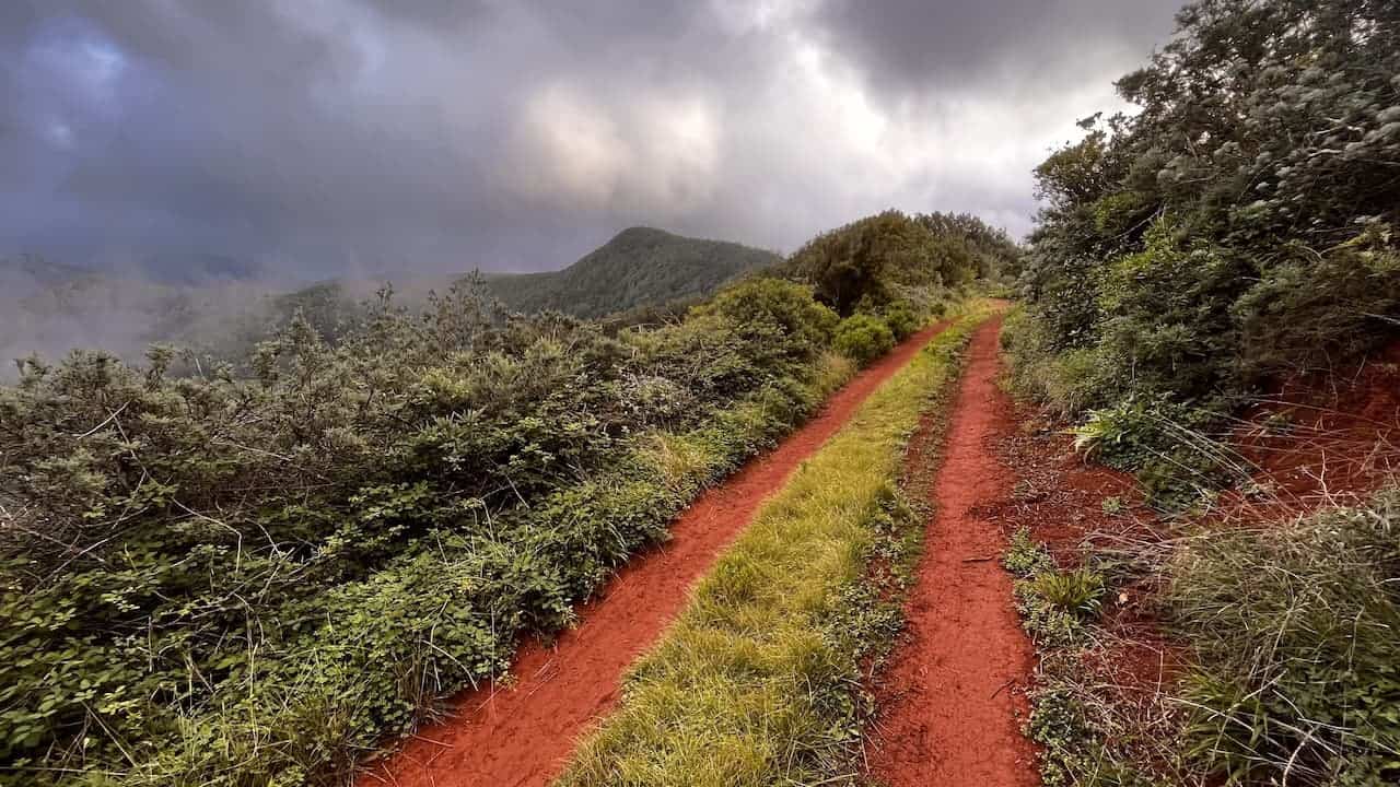 A view of the TF-12 trail in Anaga Rural Park