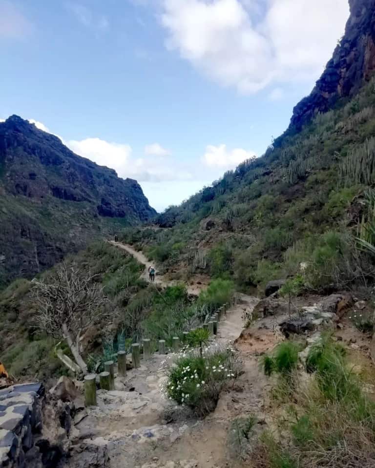 View of the Barranco del Infierno trail in Tenerife