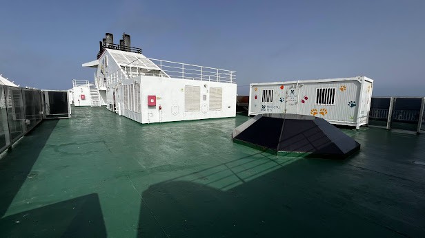 Dog cages housing on Naviera Armas ferries in the Huelva - Canary Islands route