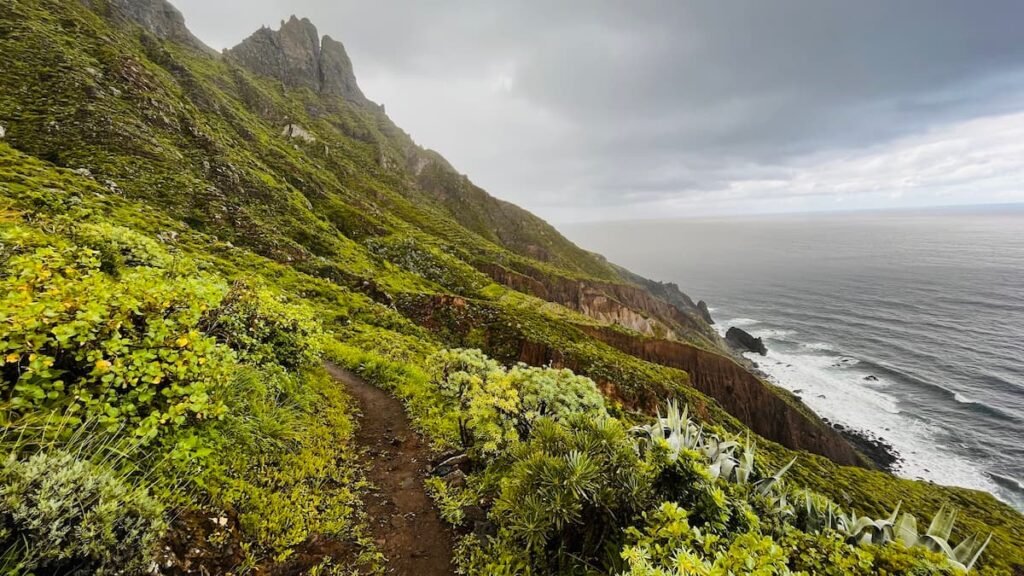 TF-8 trail ocean view section