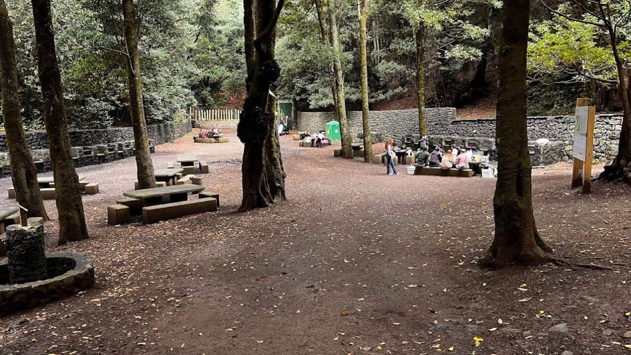 Barbecue spot mid-way on the TF-1 trail. Also accessible by car from the TF-12 road connecting Tenerife with the Anaga Rural Park
