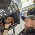 travel to europe with dogs